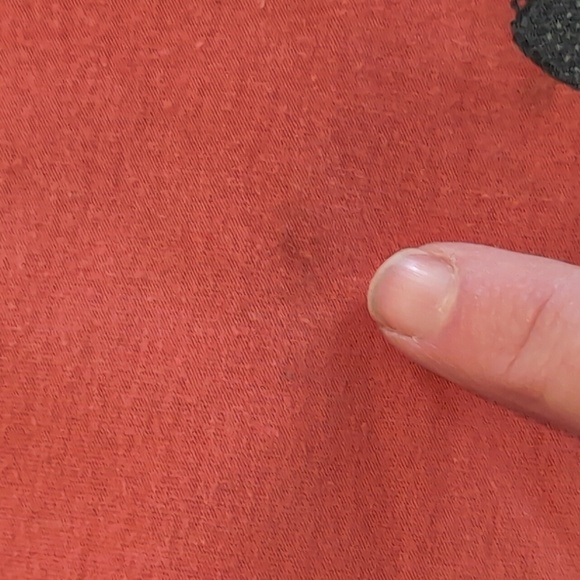 Tea Collection Surf Tee - Picture 3 of 6